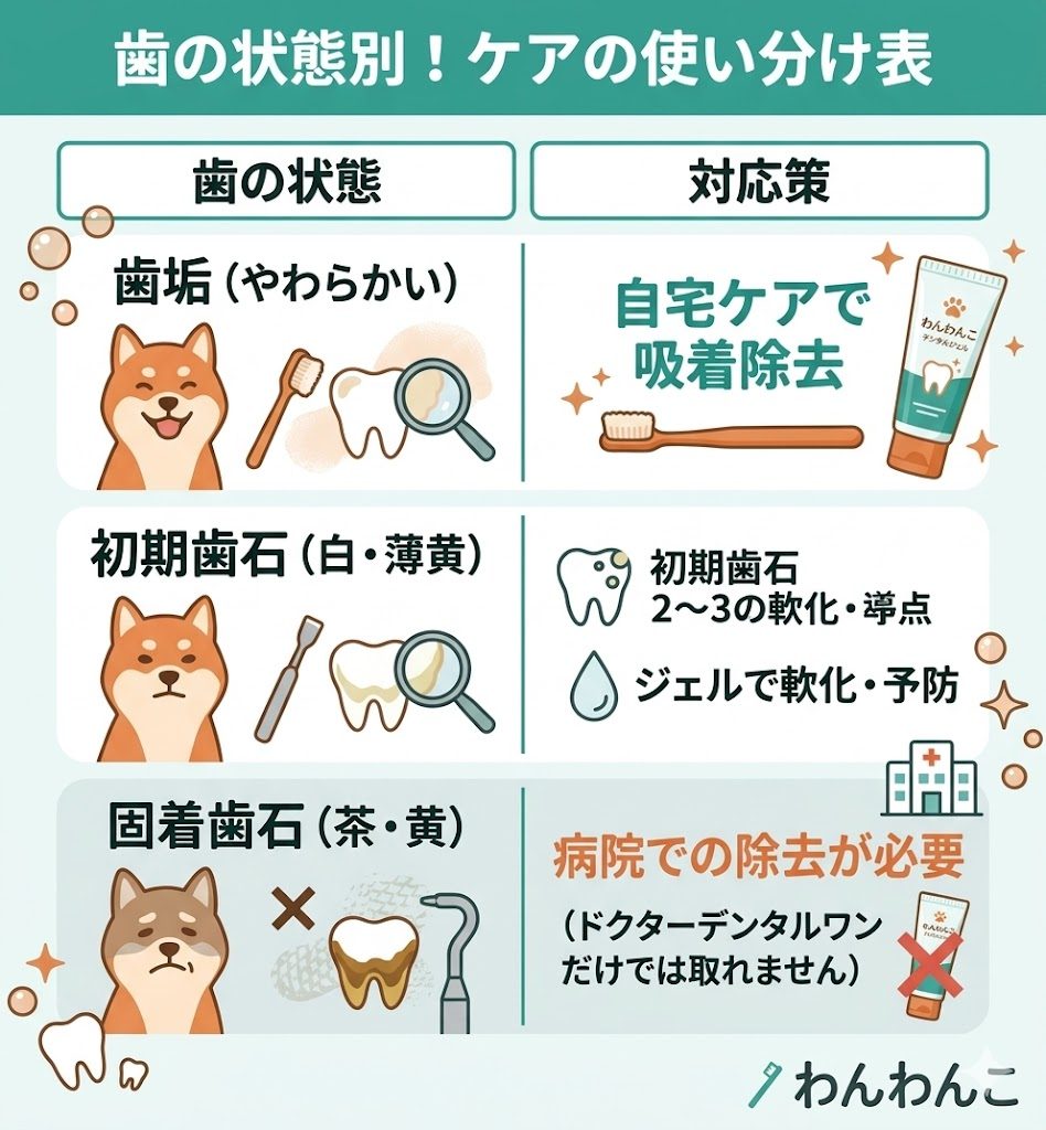 犬の歯の状態に合わせたケア方法の比較表。歯垢、初期歯石、固着歯石ごとの対応を記載。