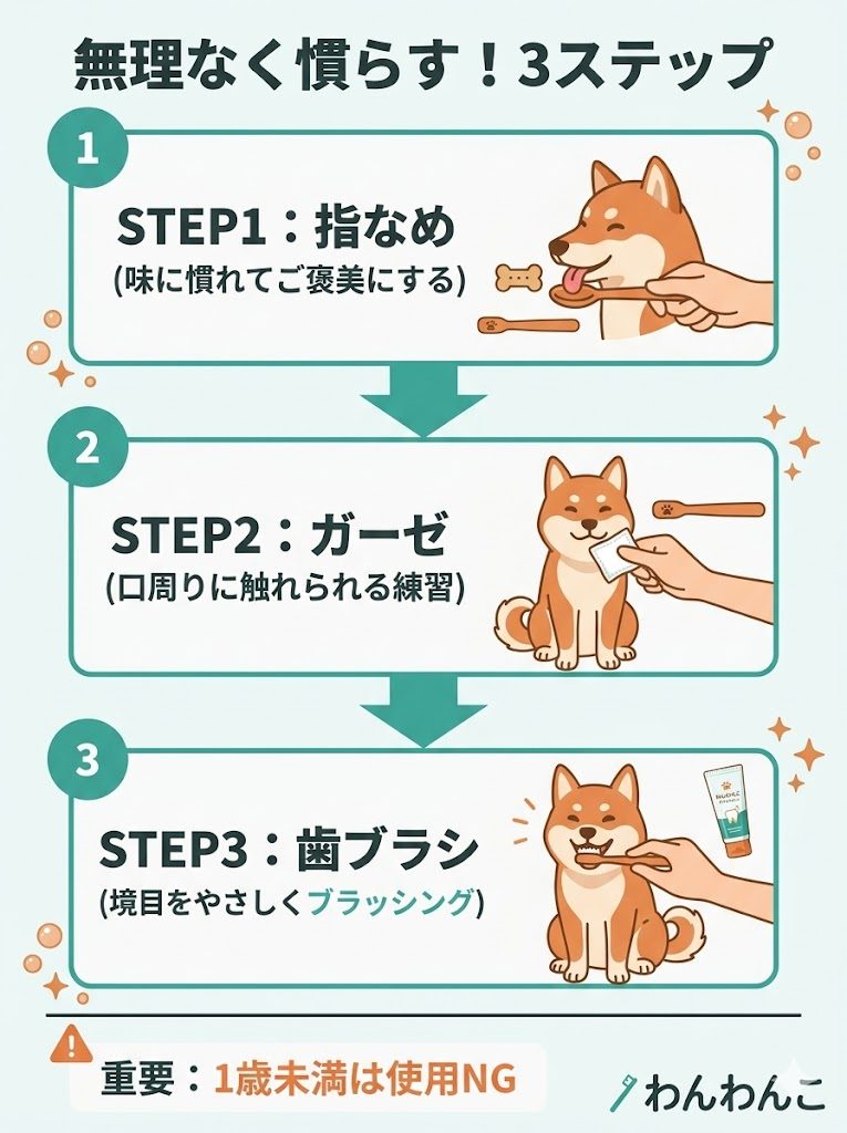 犬の歯磨きを慣らす3ステップ。指なめ、ガーゼ、歯ブラシの順番を解説。
