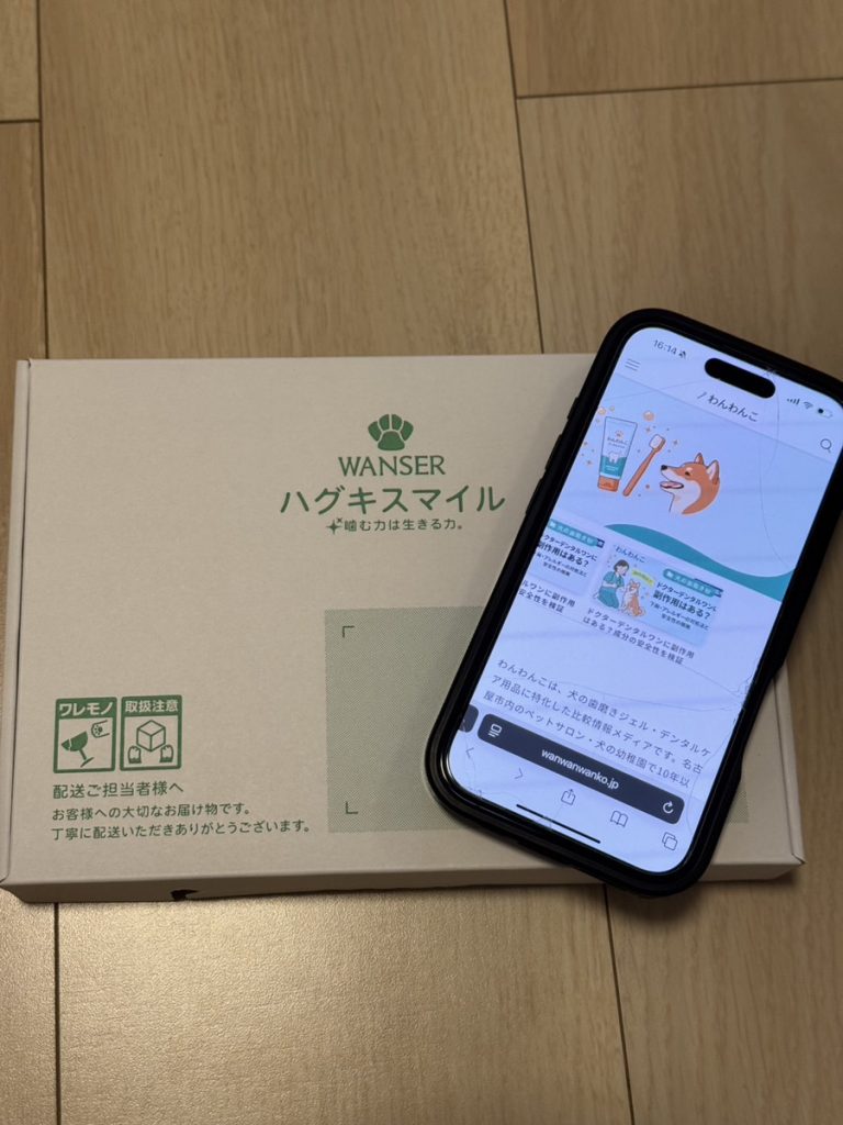 「ハグキスマイル」を実際に編集部で検証している画像1