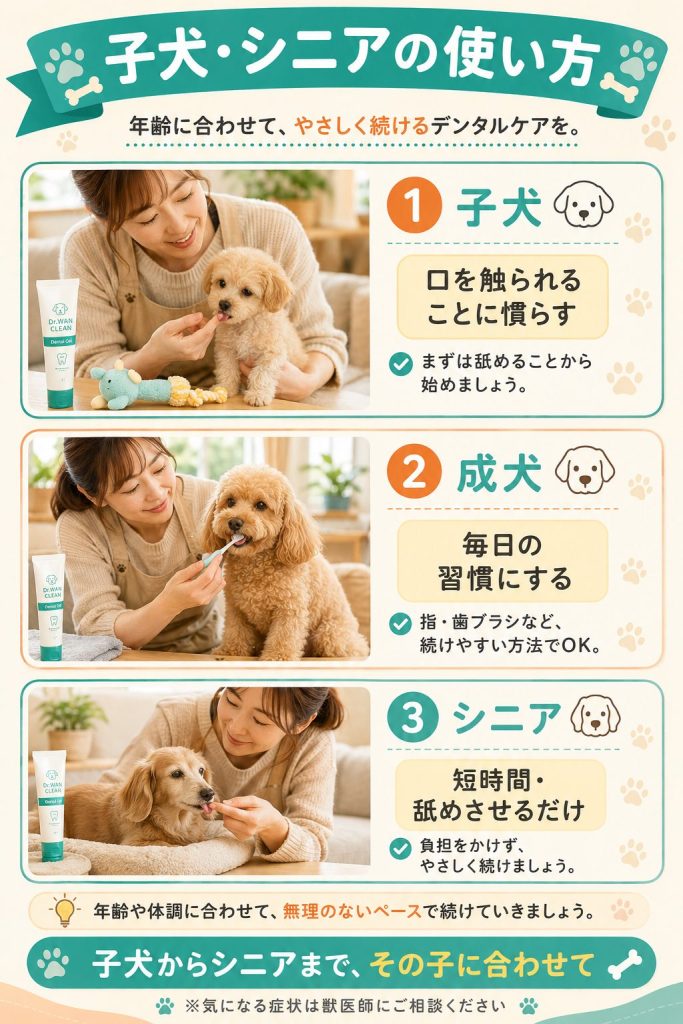 ドクターワンクリーンの年齢別の使い方。子犬・成犬・シニアそれぞれのケアの目安