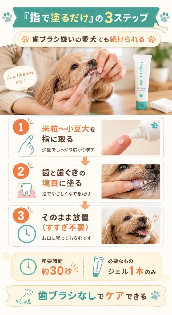 ハグキスマイル基本の使い方3ステップ｜米粒大を取って歯ぐきに塗って放置
