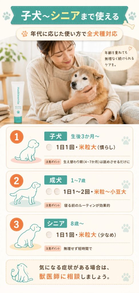 ハグキスマイルは子犬からシニアまで使える｜年代別の開始時期と使い方