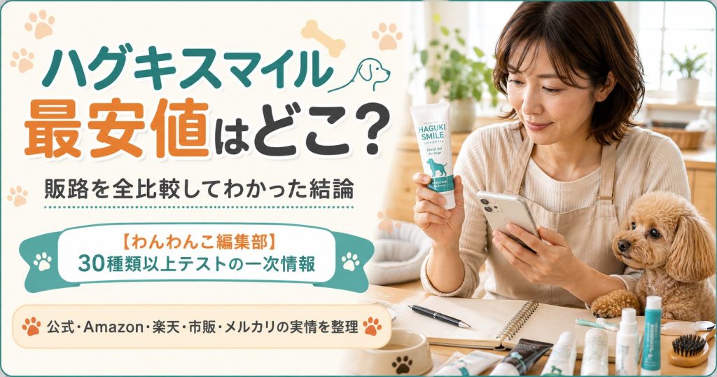 ハグキスマイルの最安値ルートを販路全比較した結論を一目で示す図解