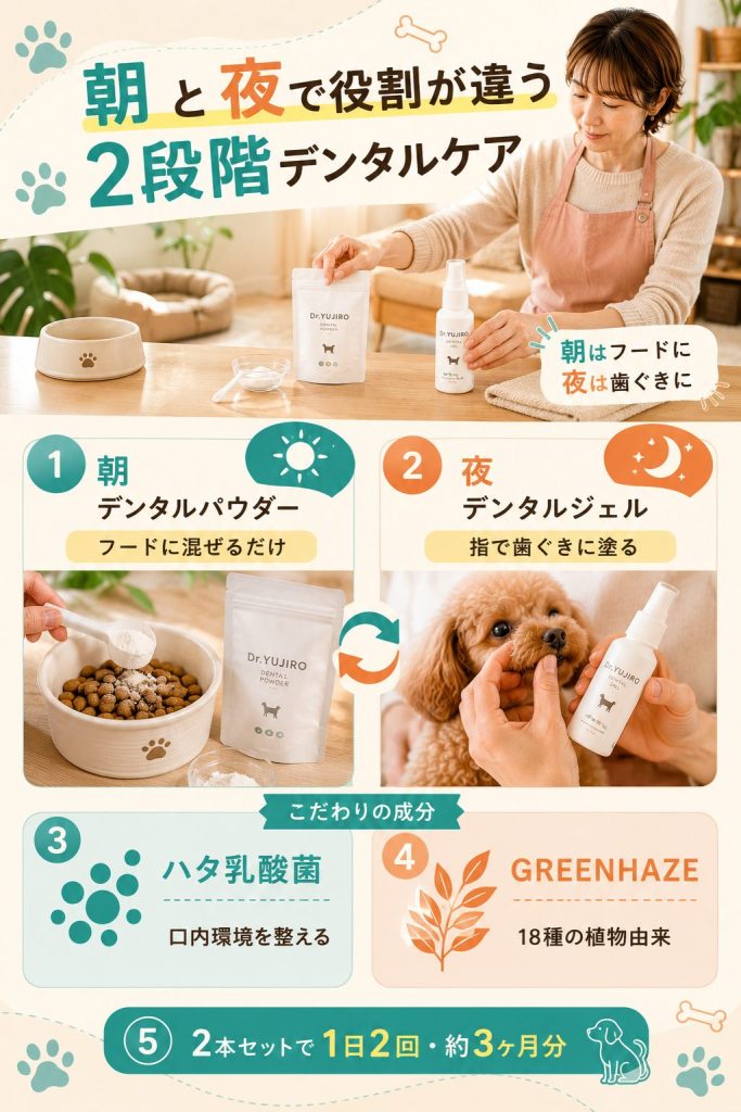 Dr.YUJIROの朝パウダー・夜ジェル2段階ケアの仕組み。ハタ乳酸菌とGREENHAZEの役割を解説した図解