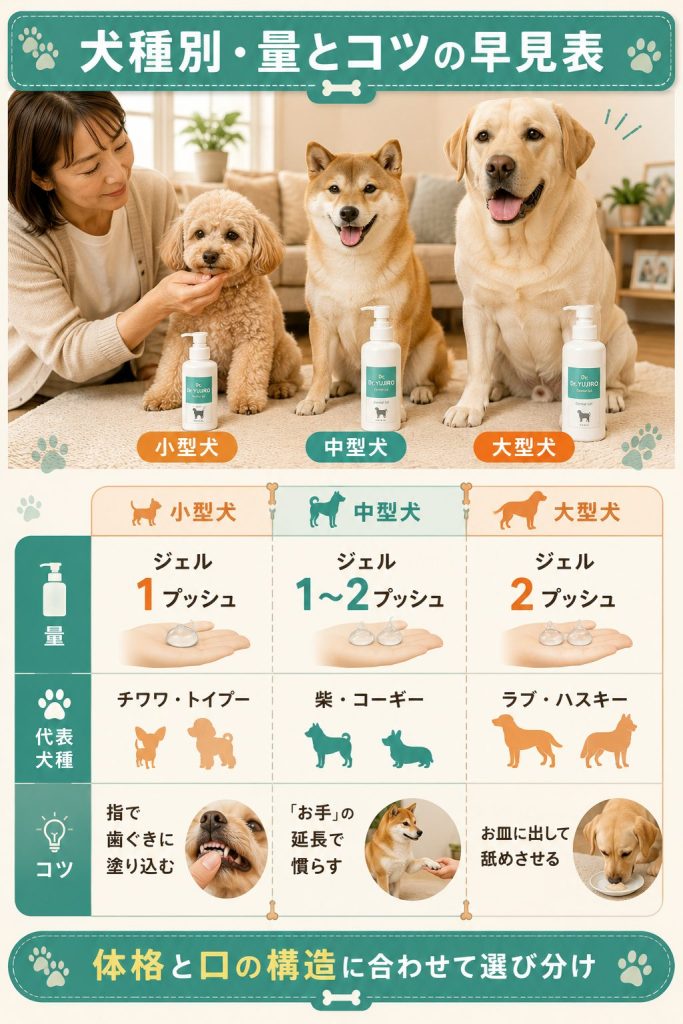 小型犬・中型犬・大型犬別のDr.YUJIRO使い分け比較表。代表犬種と量・現場のコツを3列で整理