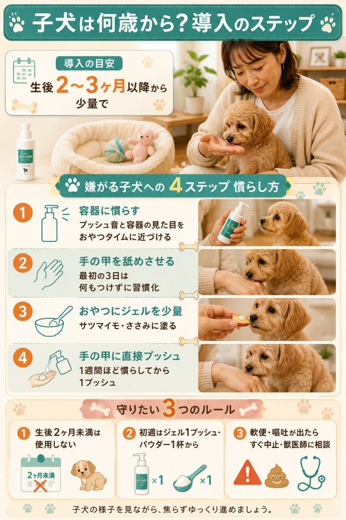 Dr.YUJIROの子犬への導入ステップ。生後2〜3ヶ月以降から始める4ステップの慣らし方を視覚化